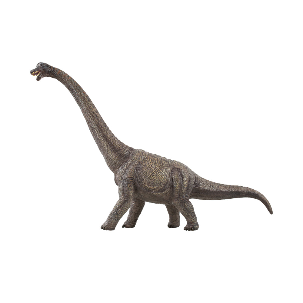 Big brachiosaurus sale toy