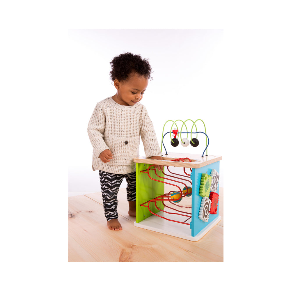 Hape Baby Einstein Innovation Station