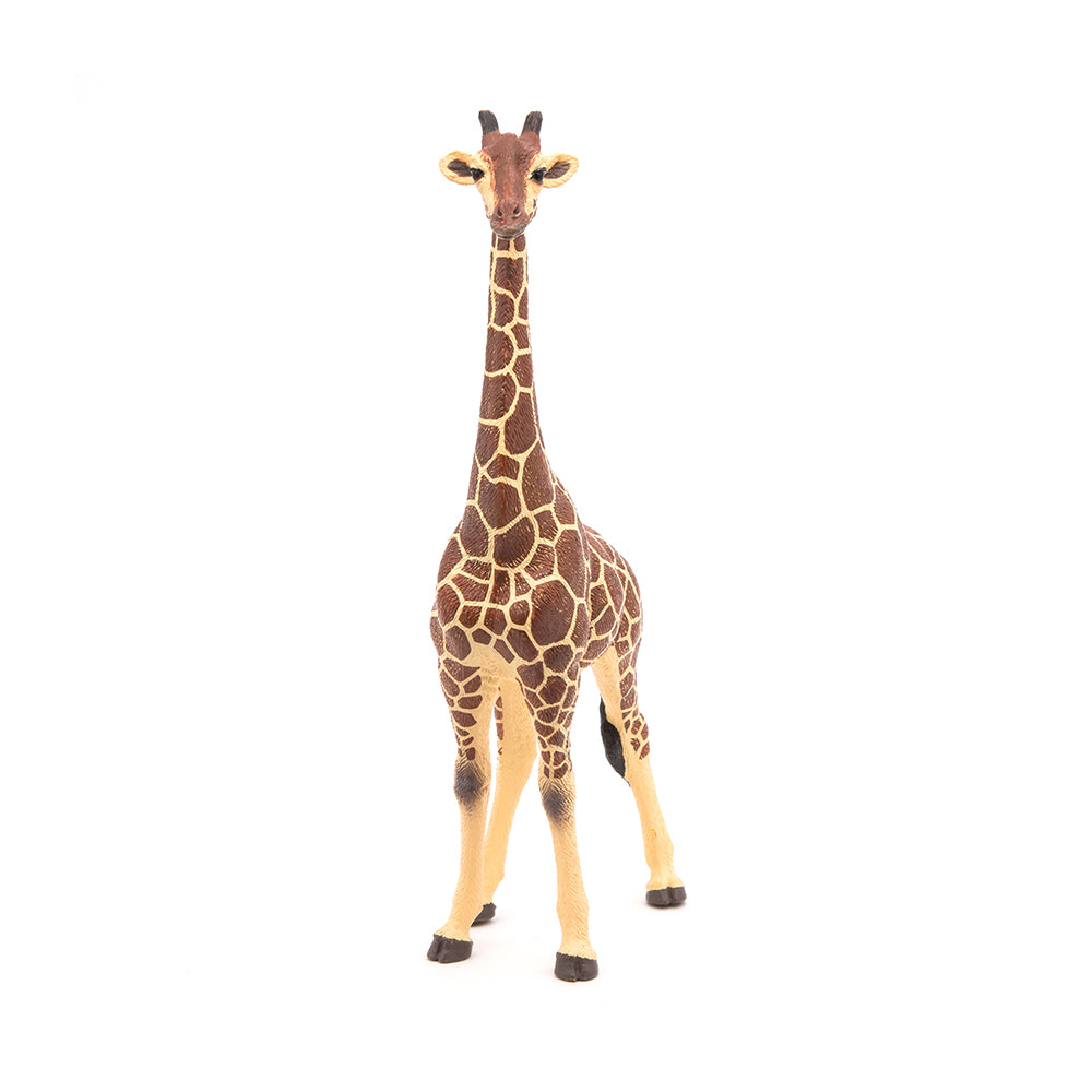 Papo Male Giraffe