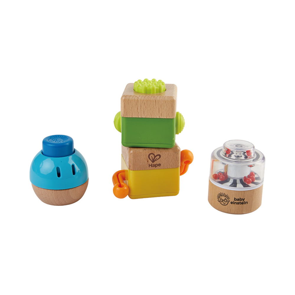 Hape Baby Einstein Four Fundamentals Wooden Sensory Set