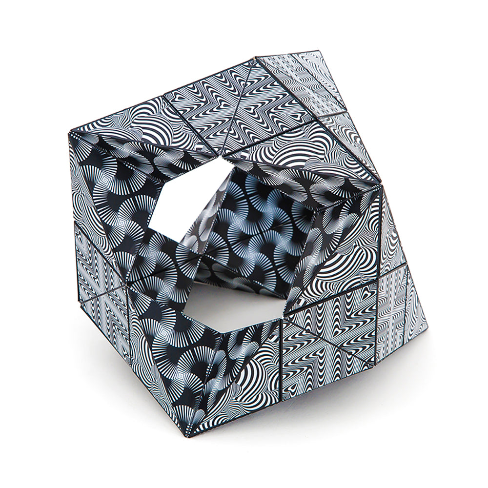 Shashibo Magnetic Puzzle