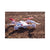 LiteHawk R.E.O HD Camera Drone Remote Control