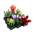 LEGO Succulents 10309 Plant Decor Building Kit (771 Pieces)