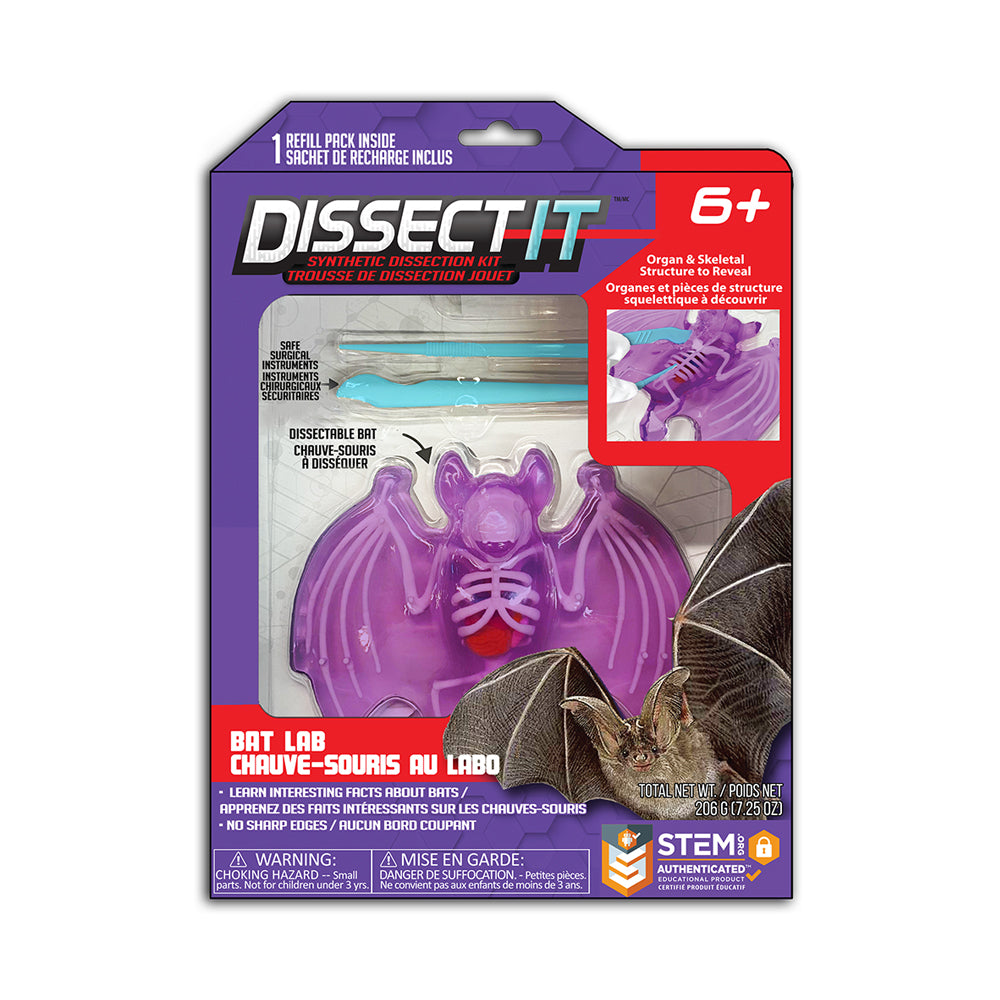 Dissect It - Bat