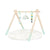 Starry Sky Wooden Play Gym