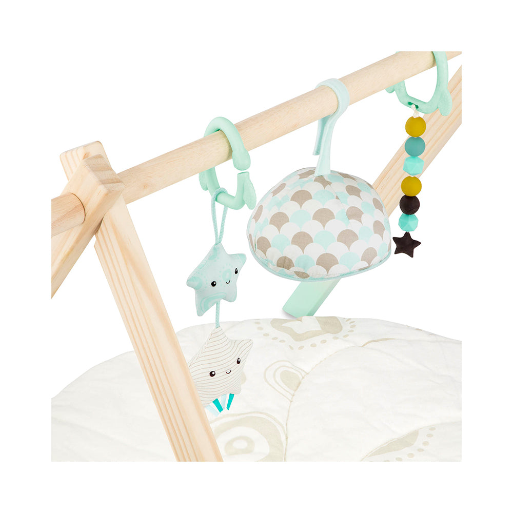 Starry Sky Wooden Play Gym