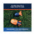 Aerobie Super Sonic Fin Catch Football Blue/Orange