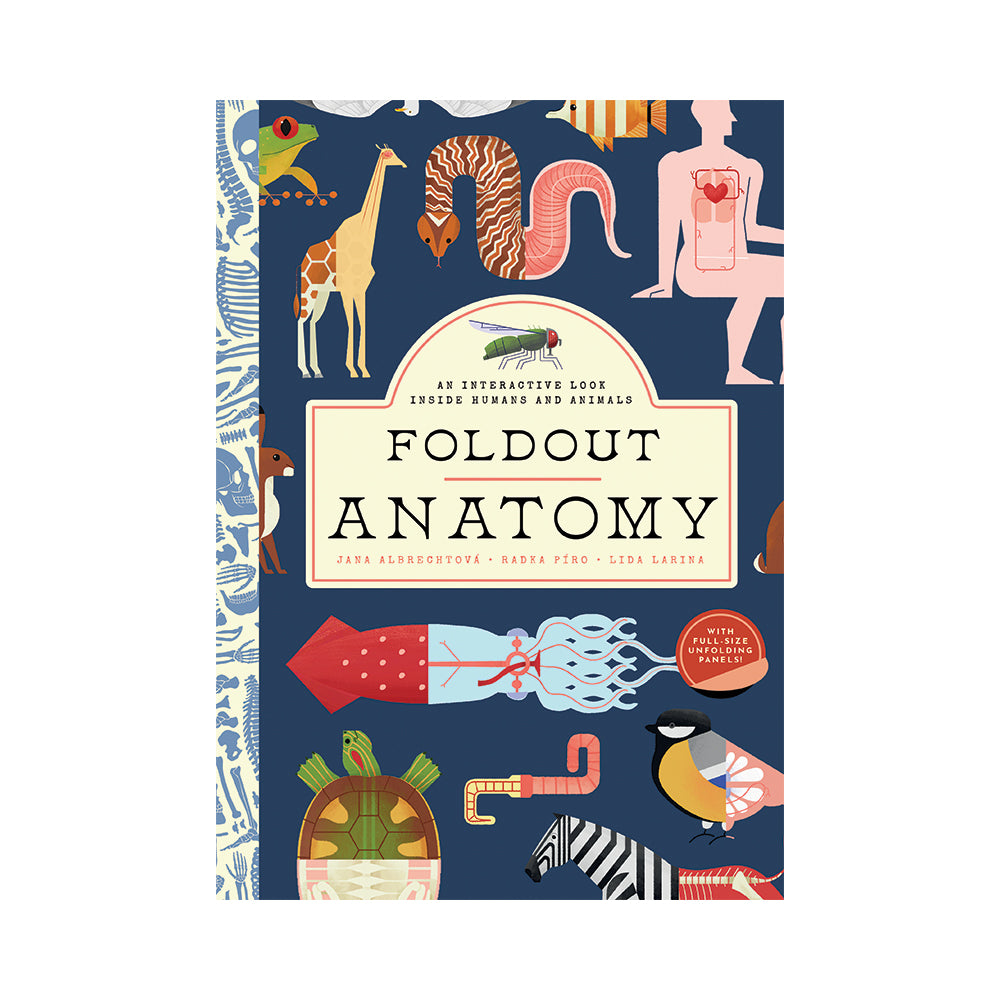 Foldout Anatomy Book