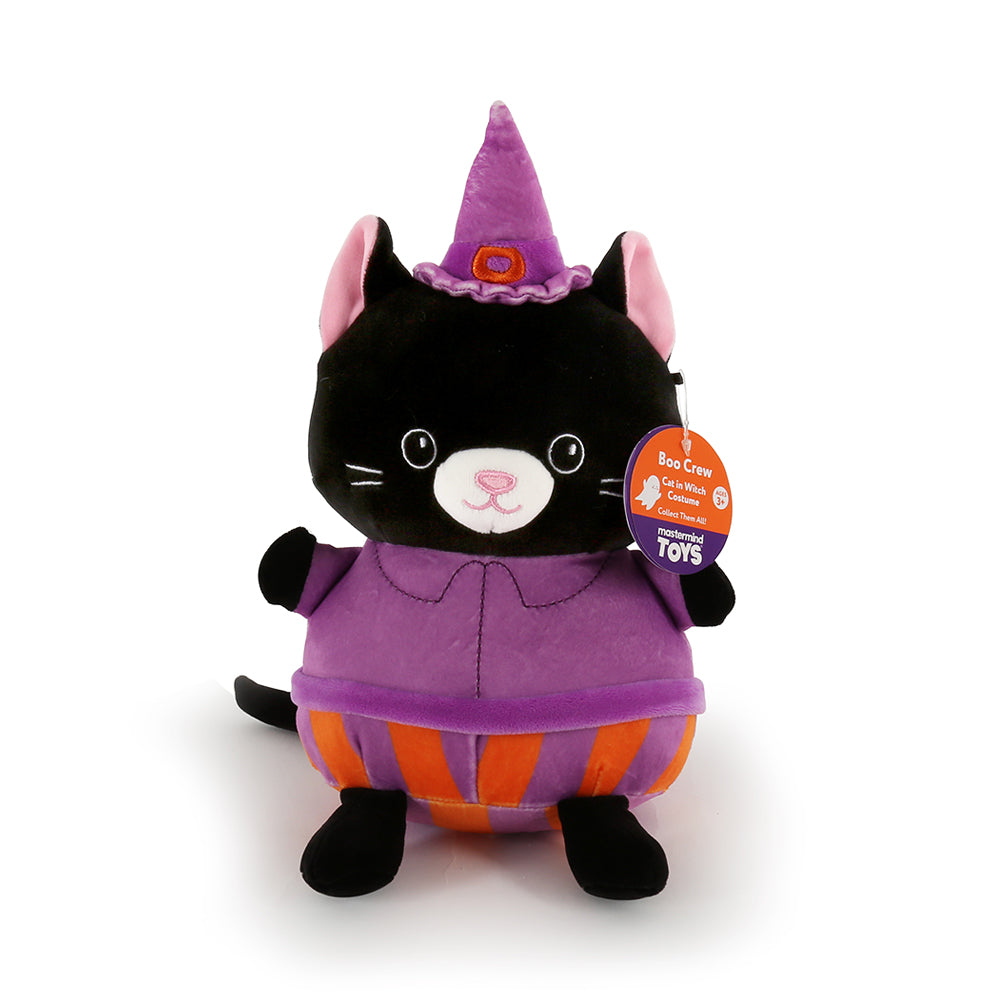  Squishmallows 5 Halloween (Tomos The Frog Witch) : Everything  Else