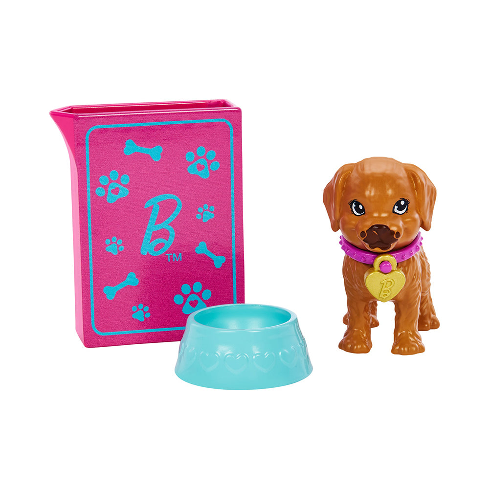 Barbie Doll And Accessories Pup Adoption Playset With Doll, 2 Puppies And Color-Change