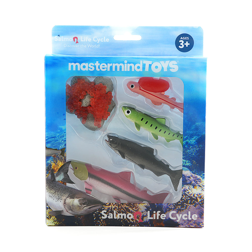 Mastermind Toys Salmon Life Cycle Figurines