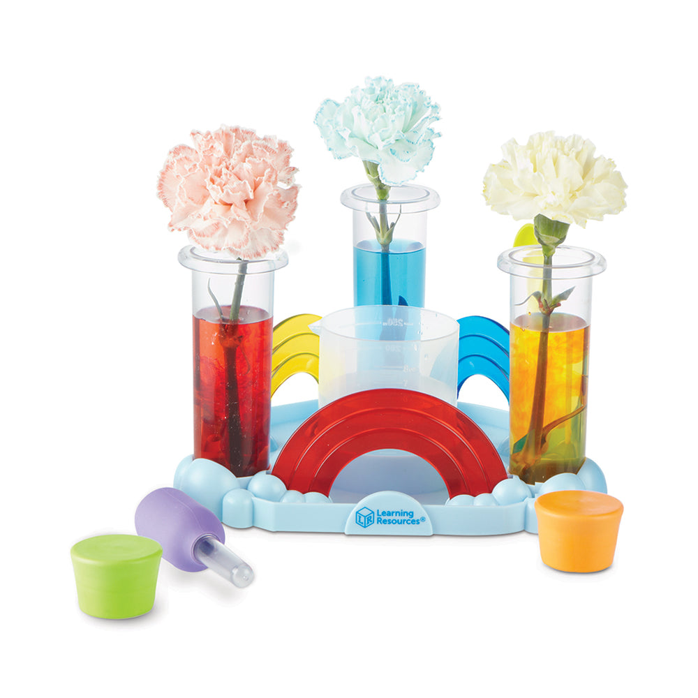 Rainbow Reaction Preschool Science Lab