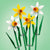 LEGO Daffodils Celebration Gift, Yellow and White Daffodil Room Decor 40747