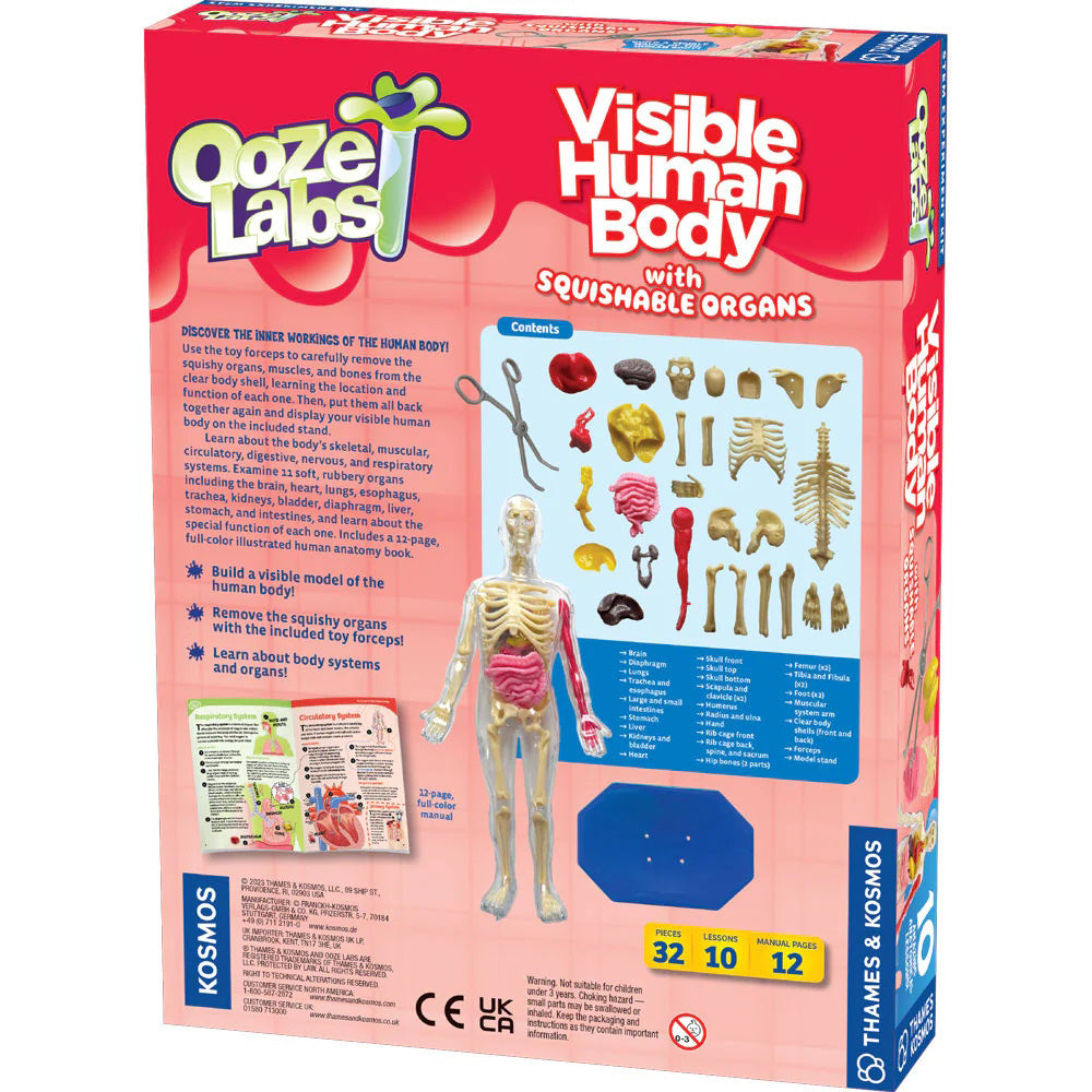 Ooze Labs: Visible Human Body