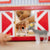 Melissa & Doug Fold & Go Barn