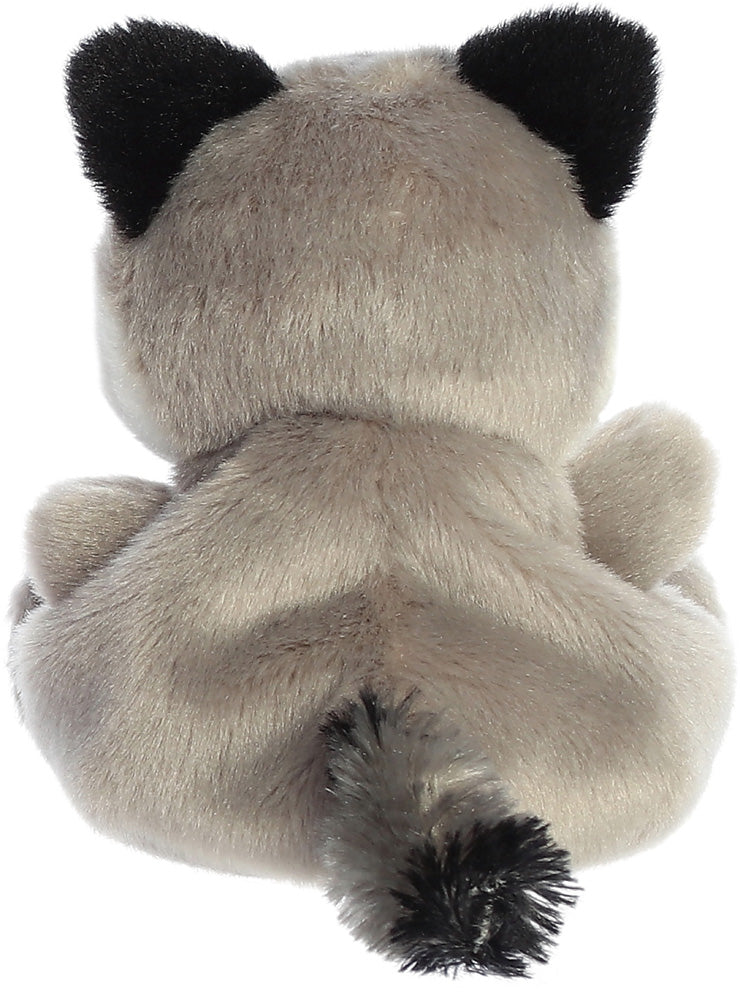 Palm Pals Rascal Raccoon 5"