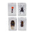 Celestron 3D Bug Specimen Kit 3