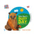 Baby Bear's Busy Day with Brown Bear and Friends (World of Eric Carle) Book - Mastermind Toys___232250