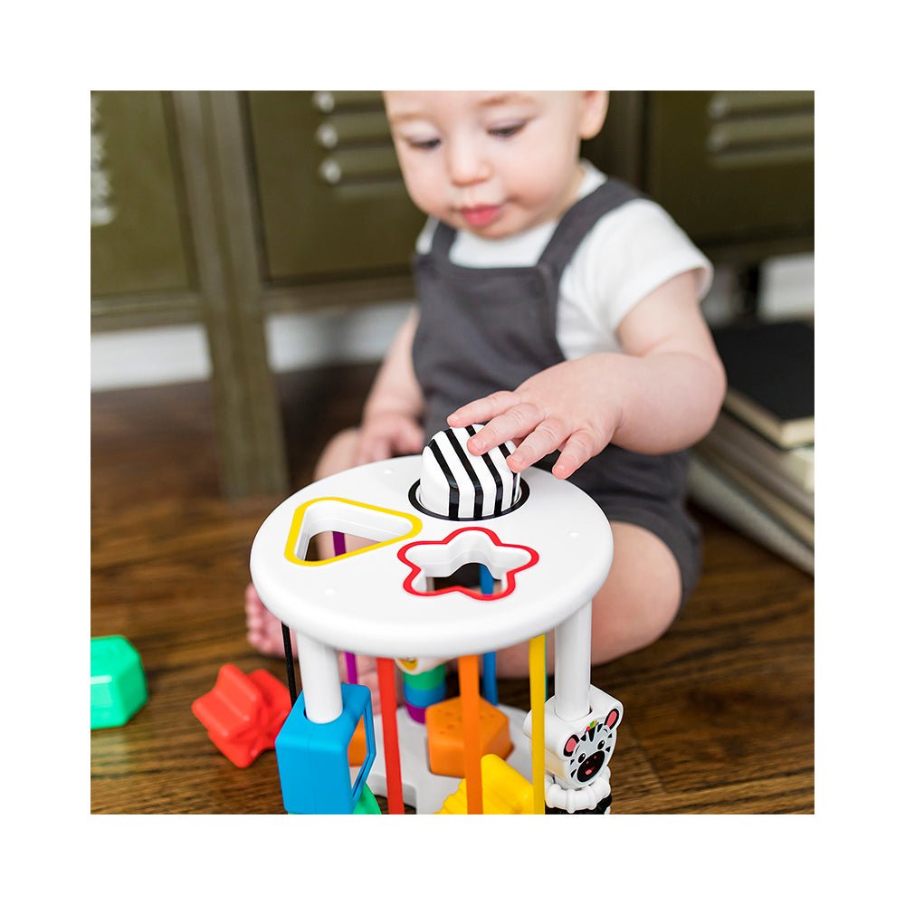 Baby Einstein Zen & Cal’s Playground Sensory Shape Sorter - Mastermind Toys___224146