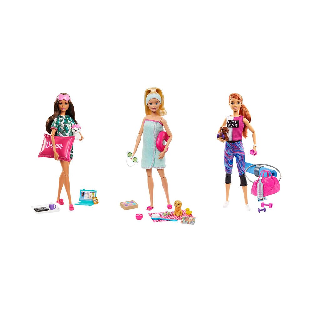 Barbie Wellness Doll, Puppy, and Acessories Assortment - Mastermind Toys___231031