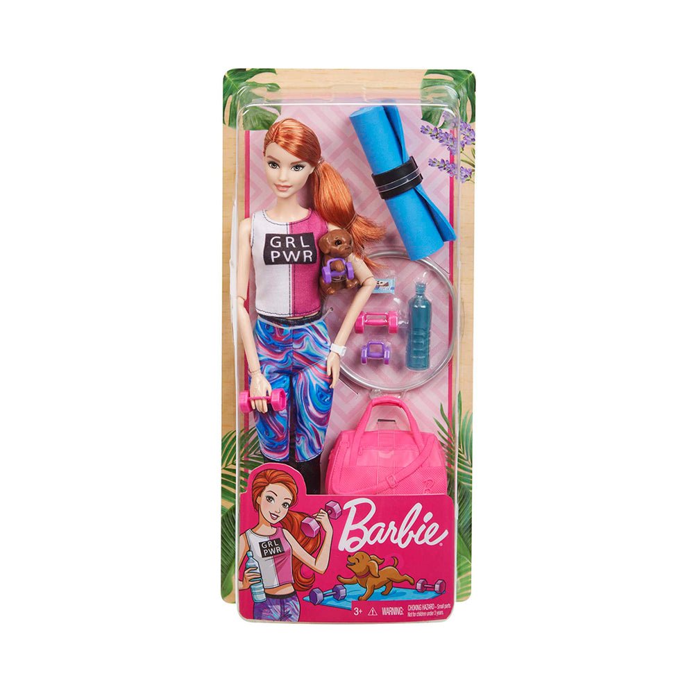 Barbie Wellness Doll, Puppy, and Acessories Assortment - Mastermind Toys___231031