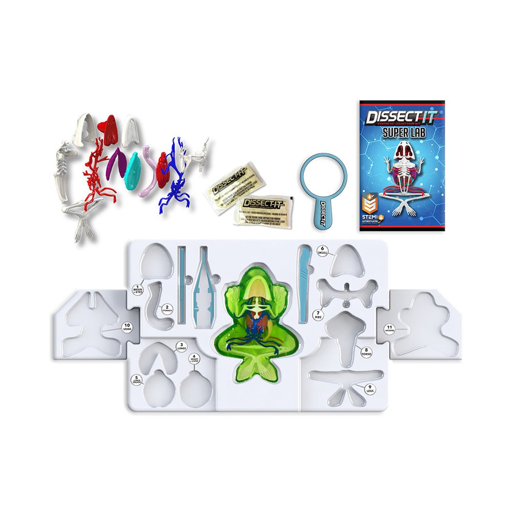 Dissect - It Frog Super Lab - Mastermind Toys___230758