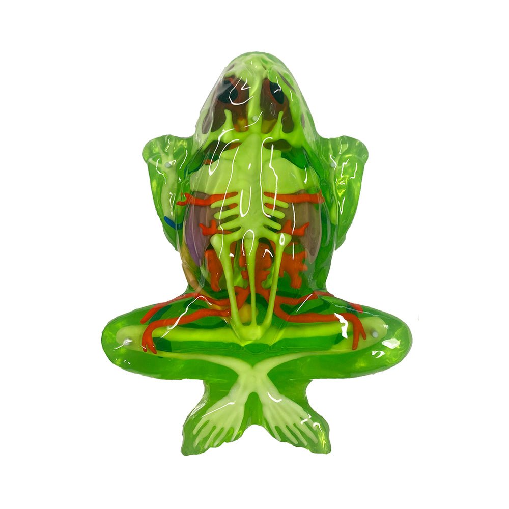 Dissect - It Frog Super Lab - Mastermind Toys___230758