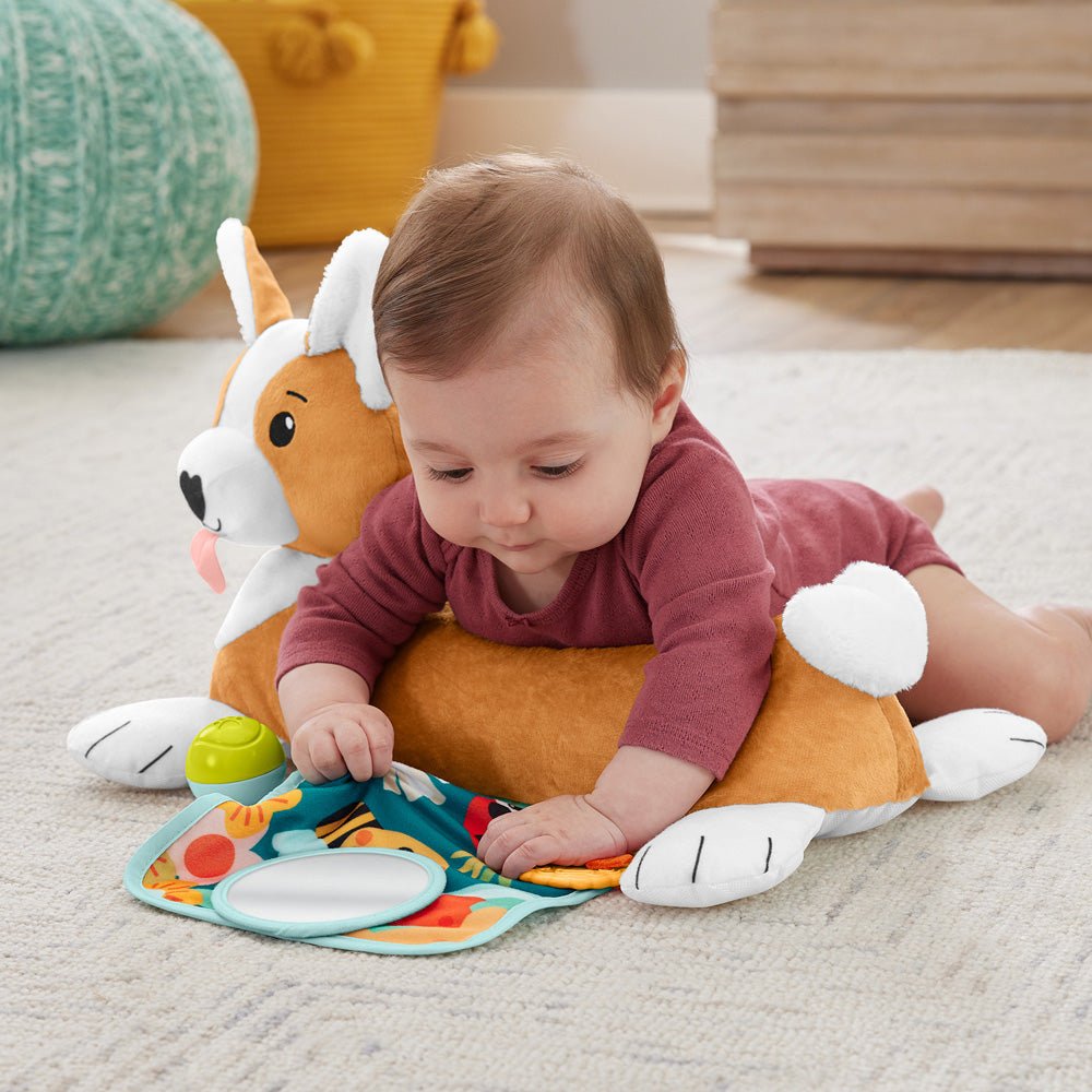 Fisher - Price® 3 - in - 1 Puppy Tummy - Mastermind Toys___238116