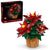 LEGO® Icons Poinsettia 10370 - Mastermind Toys___236882