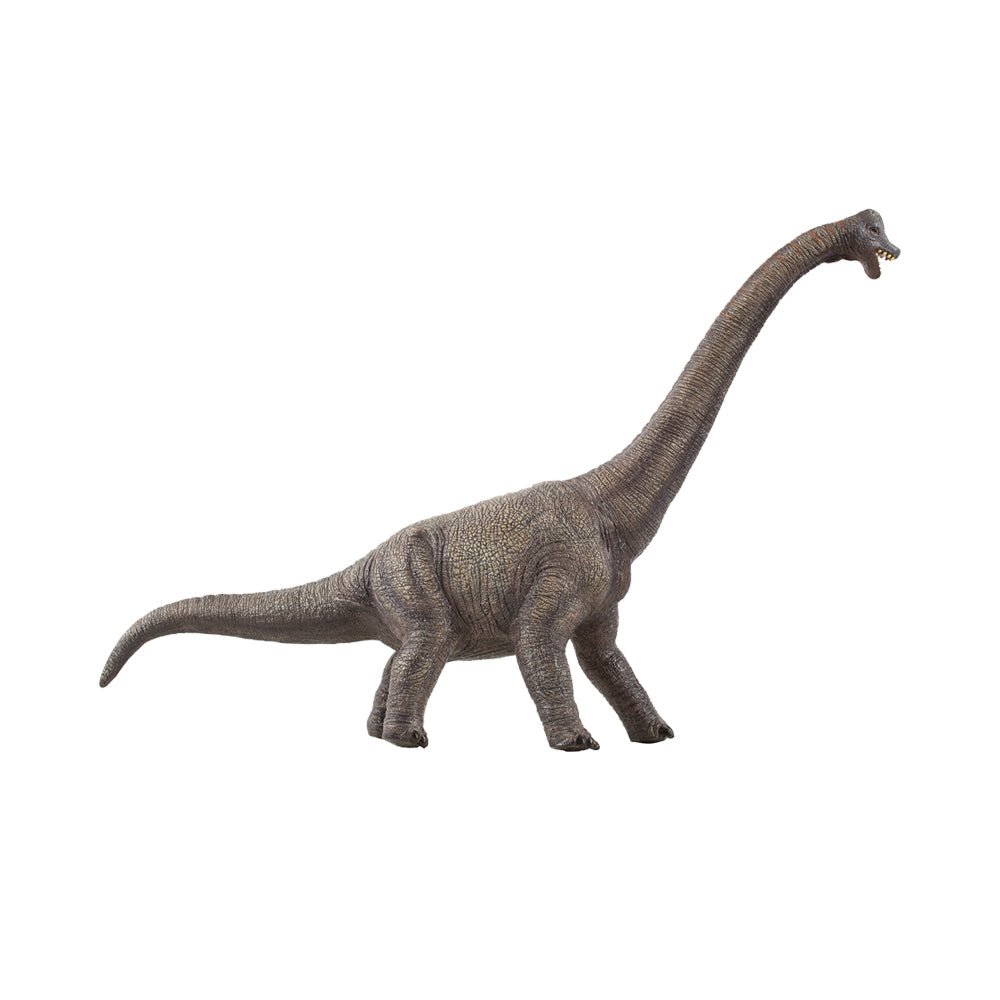 Mastermind Toys Brachiosaurus Figure Large - Mastermind Toys___207715