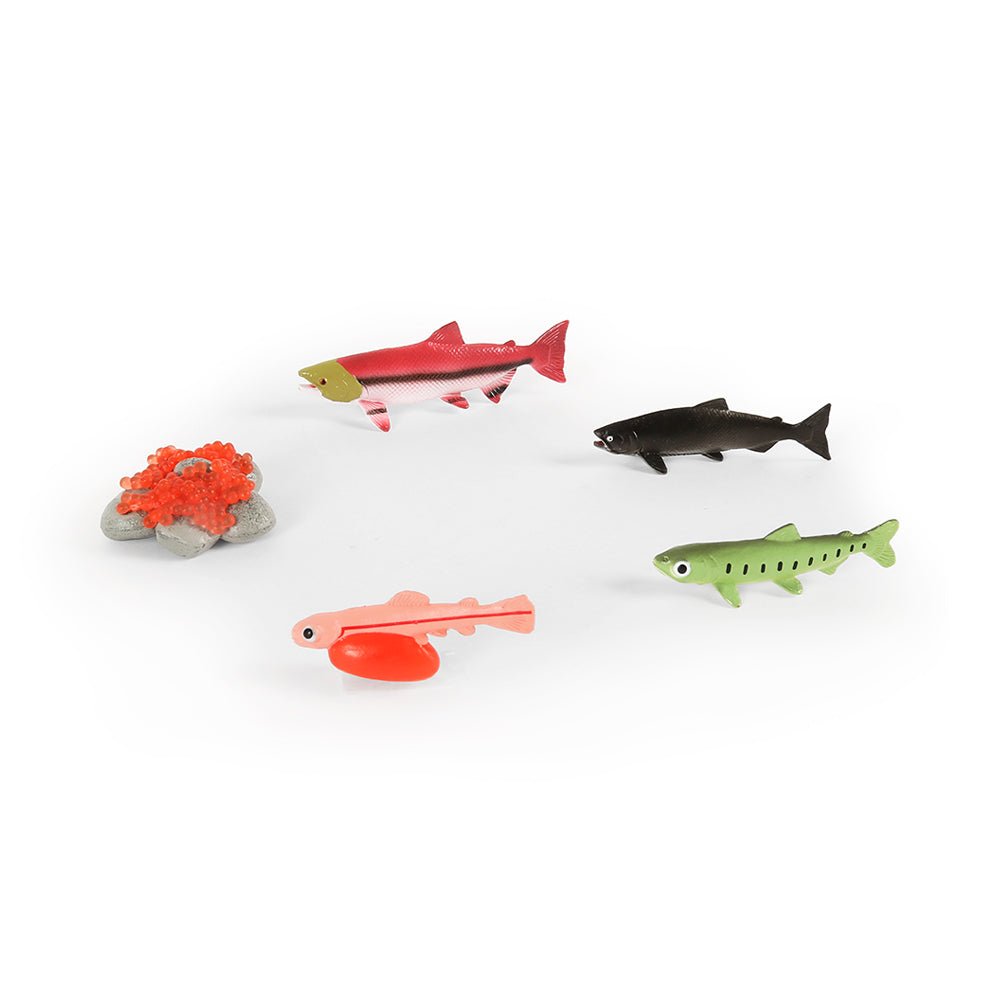 Mastermind Toys Salmon Life Cycle Figurines - Mastermind Toys___229641