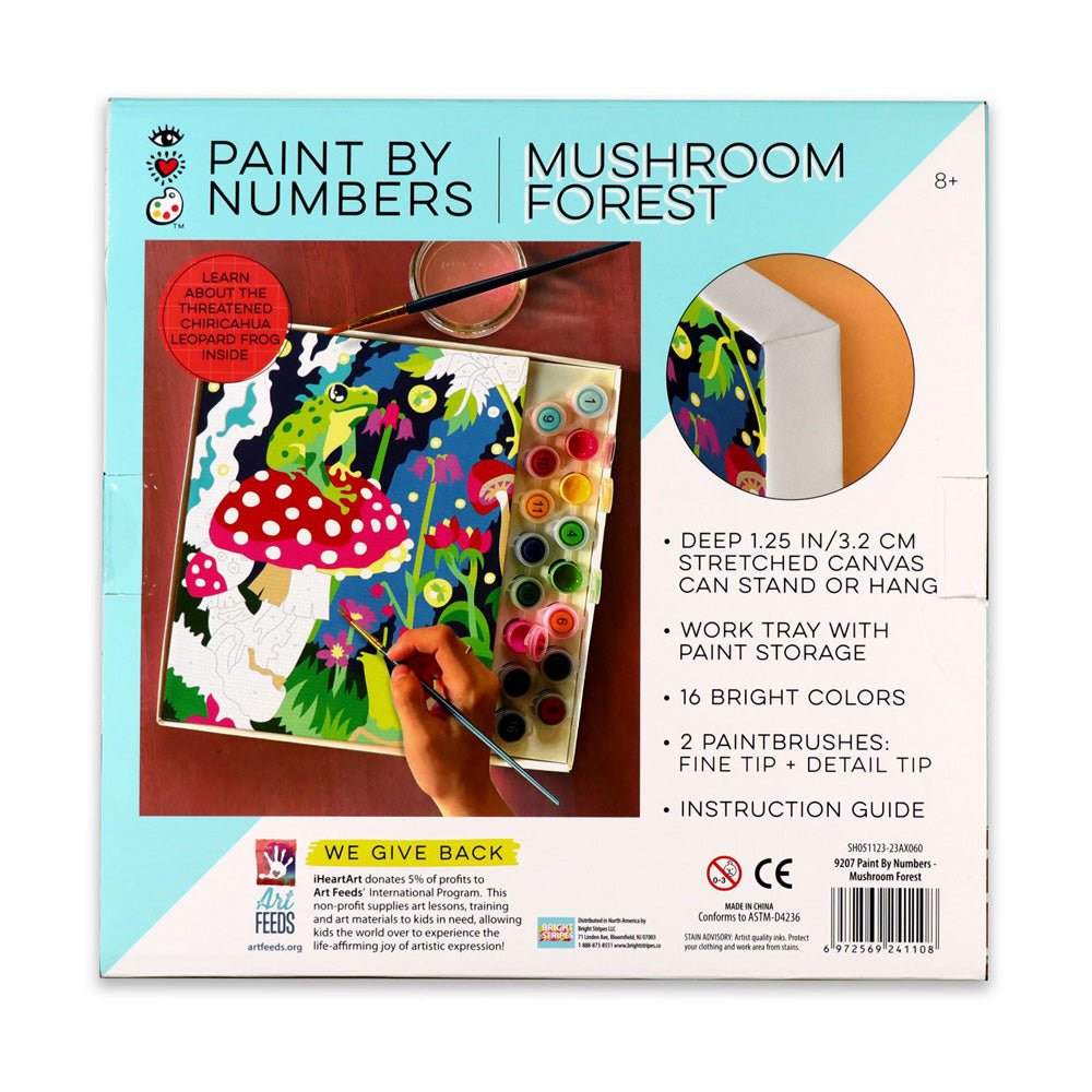 Paint By Numbers - Mushroom Forest - Mastermind Toys___233945