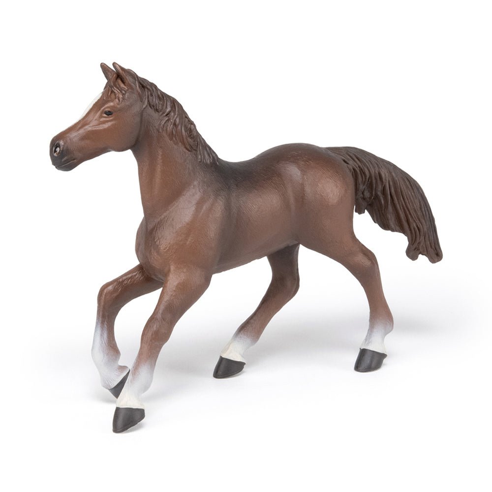 Papo Anglo - Arab Mare - Mastermind Toys___214014