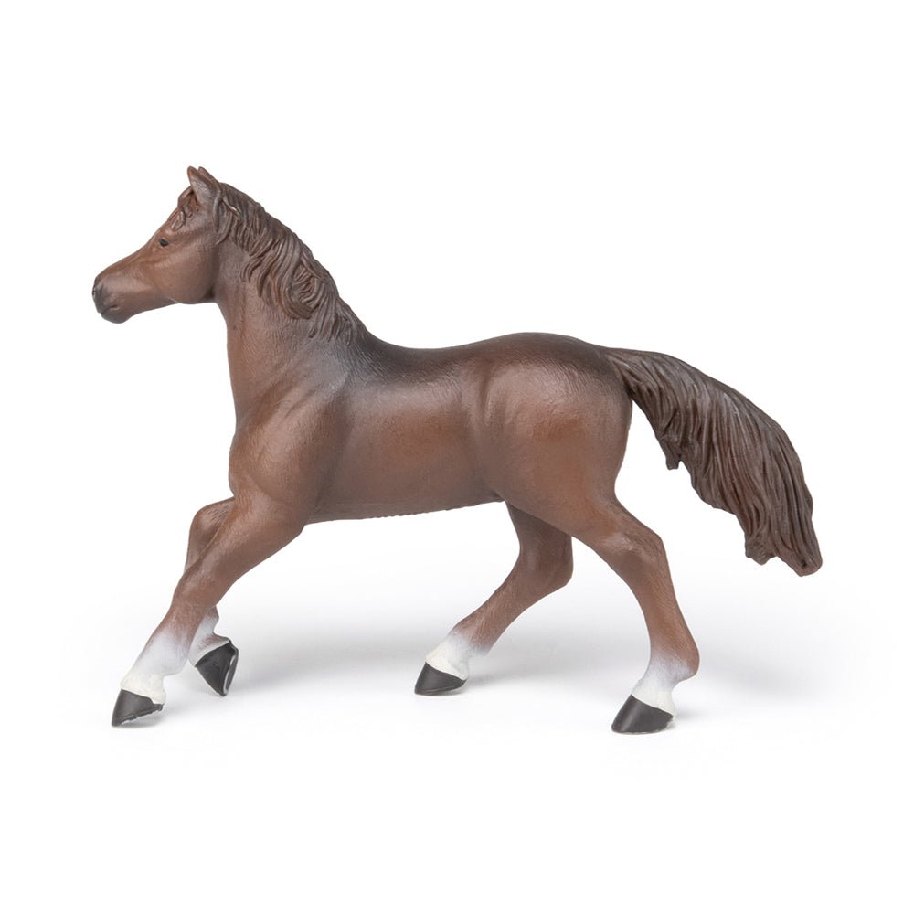 Papo Anglo - Arab Mare - Mastermind Toys___214014