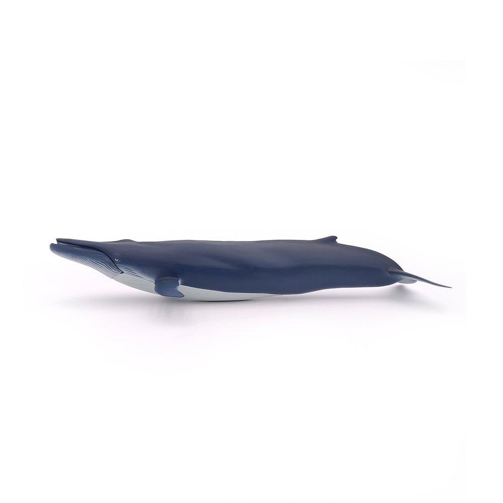 Papo Blue Whale - Mastermind Toys___214079