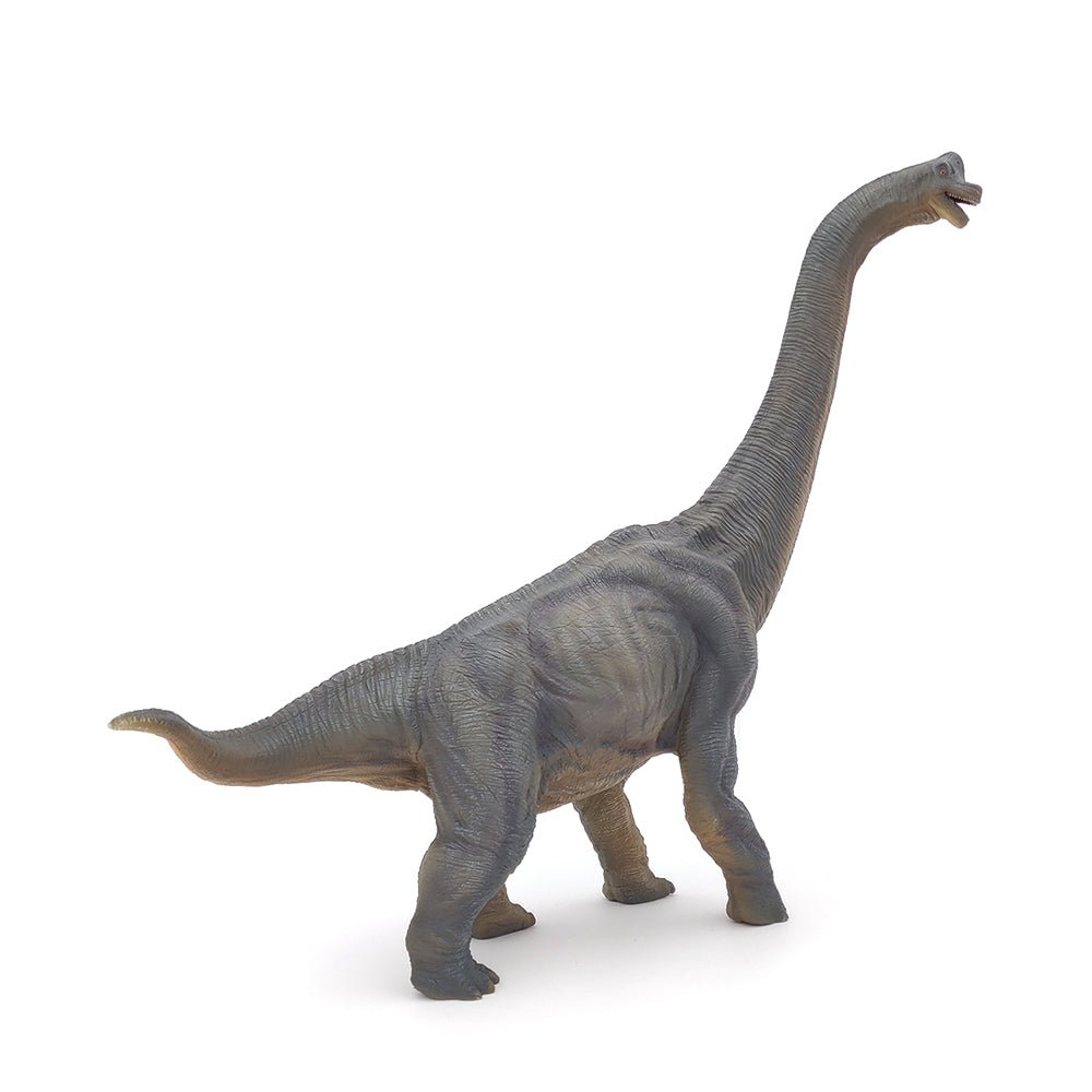 Papo Brachiosaurus - Mastermind Toys___121139