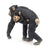 Papo Chimpanzee and Baby - Mastermind Toys___214042