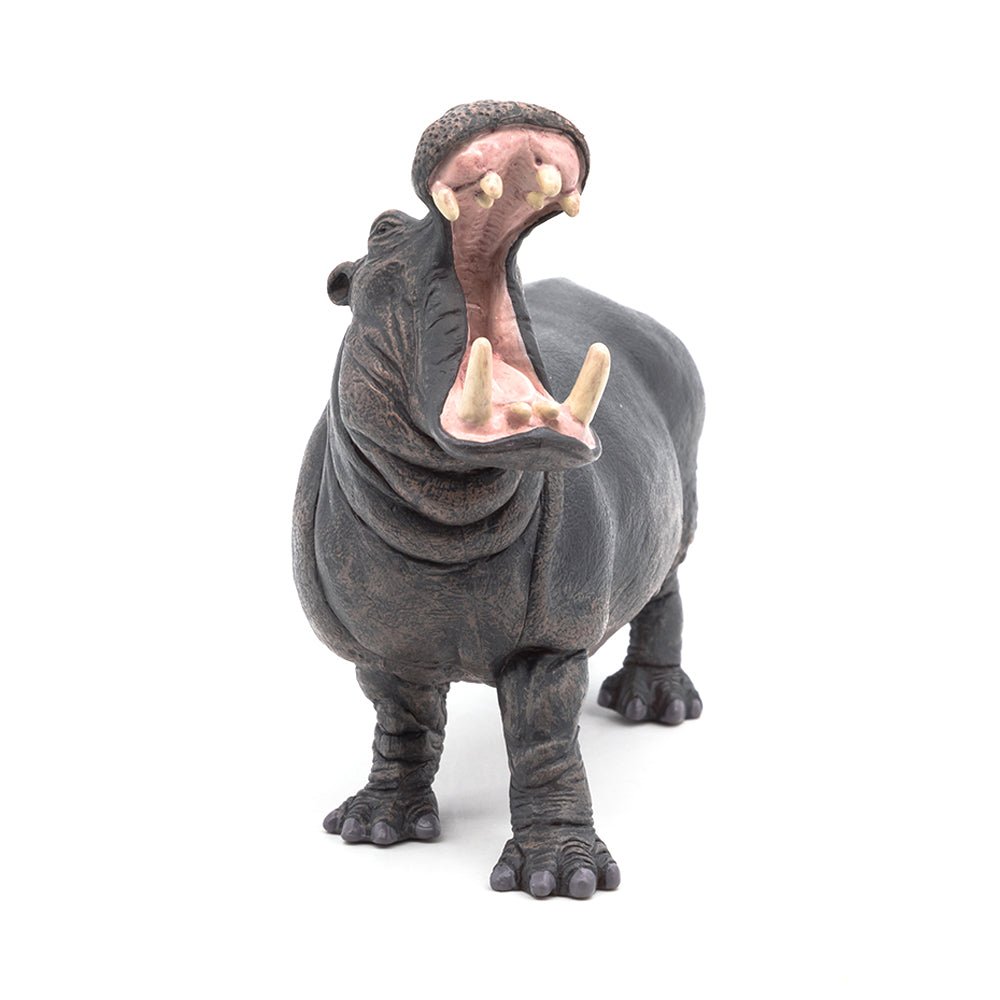 Papo Hippopotamus - Mastermind Toys___214028