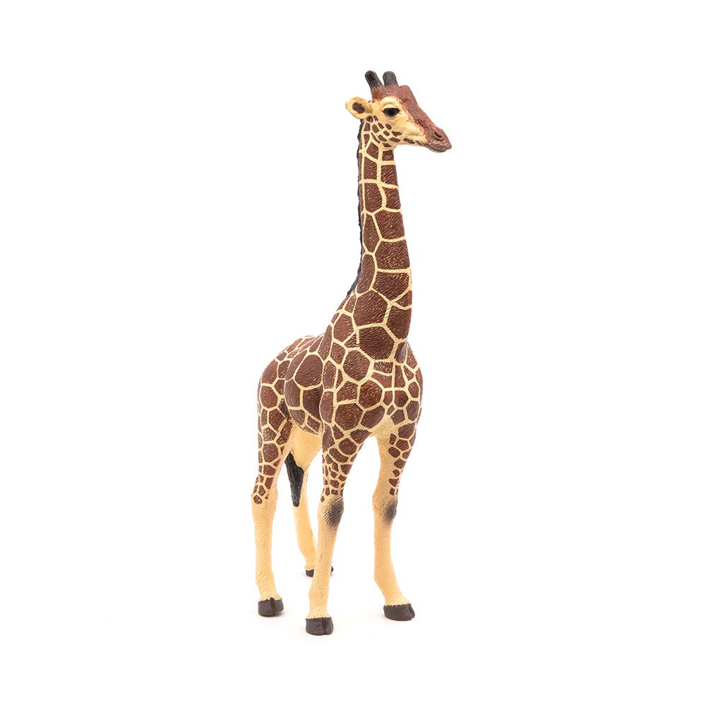 Papo Male Giraffe - Mastermind Toys___214033