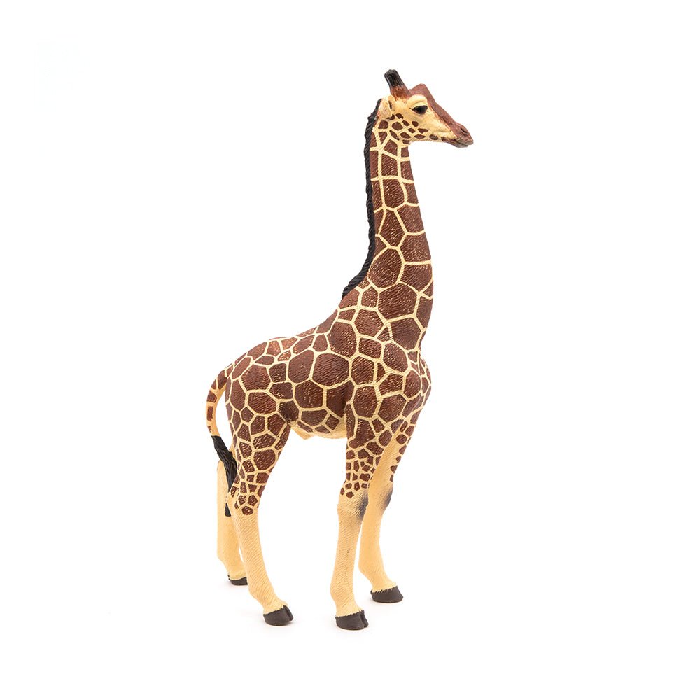 Papo Male Giraffe - Mastermind Toys___214033