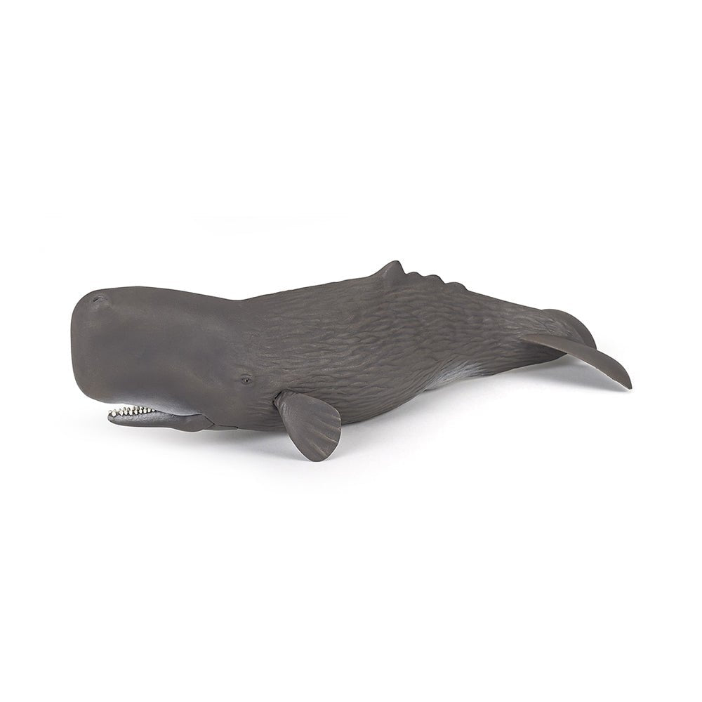 Papo Sperm Whale - Mastermind Toys___217941