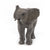 Papo Young Elephant - Mastermind Toys___214034