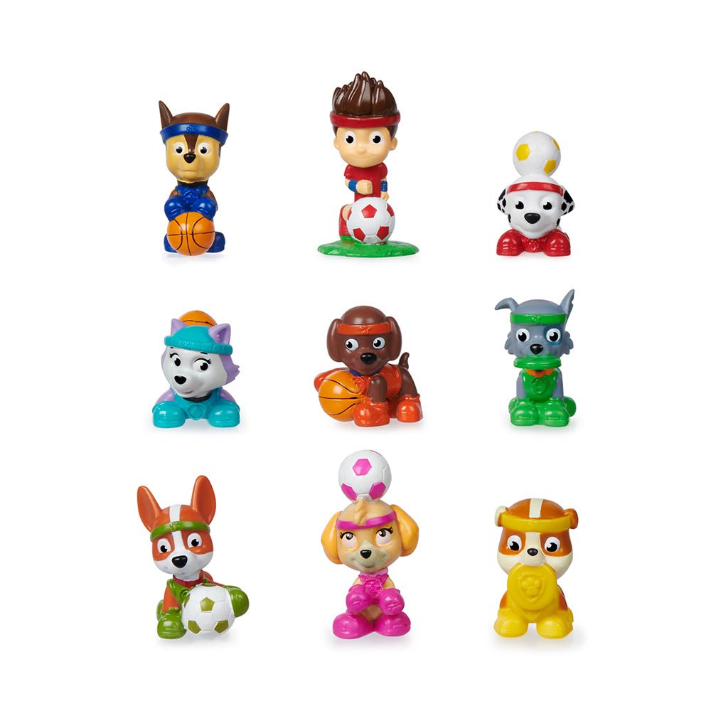 Paw Patrol Mini Rescue Figures Blind Box - Mastermind Toys___219711